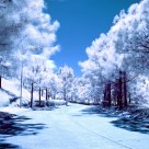 The Philippine Snow