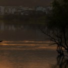 Dream hometown