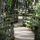 Trail