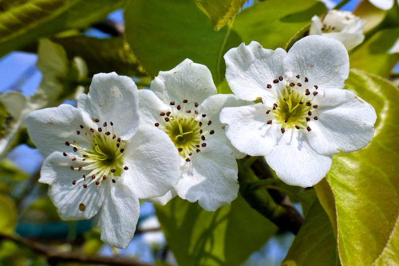 Spring..