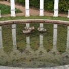 Reflection in an ornamental pond