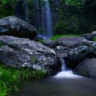 Stream