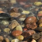 Stony beach