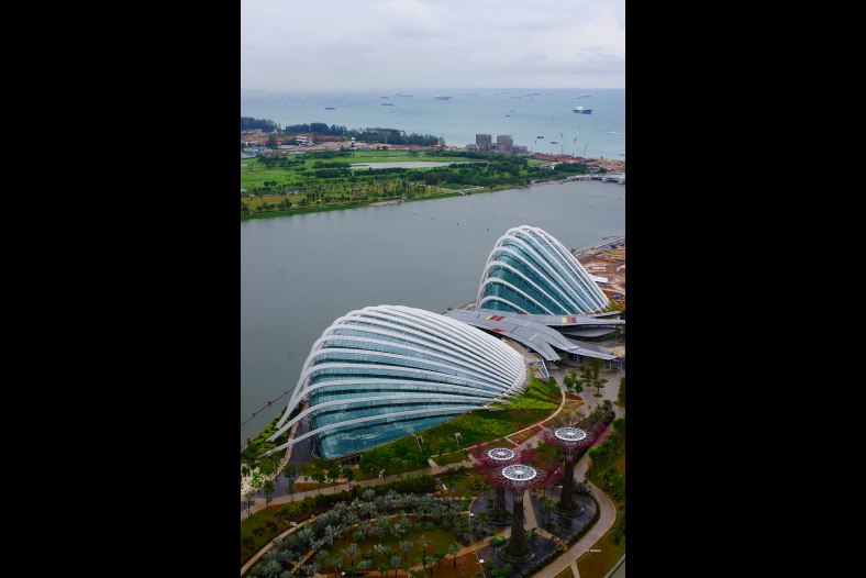 View from Marina Bay sands Hotel Room