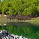 Lago Vivo