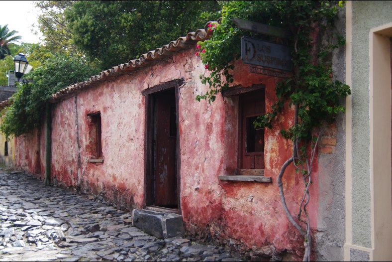 The House