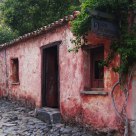 The House