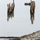 Remains