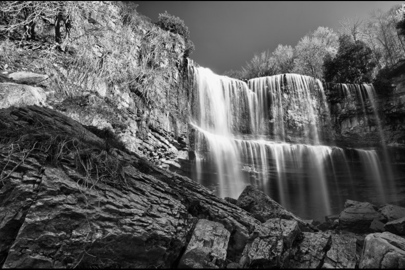 Webster Falls in B&W