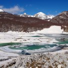 The thaw
