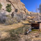 The Watering Hole Below the Dam