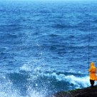 Yellow and the Sea
