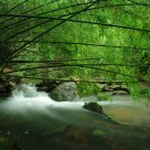 Stream