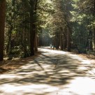 Greenway