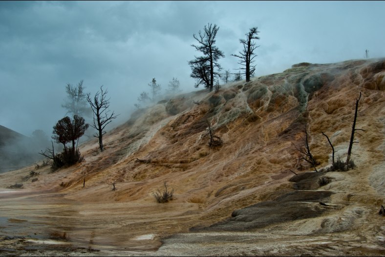 Mammoth Hot Springs