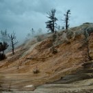 Mammoth Hot Springs
