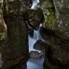 Bear head shaped rock