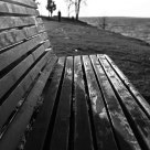 Bench from the river bank