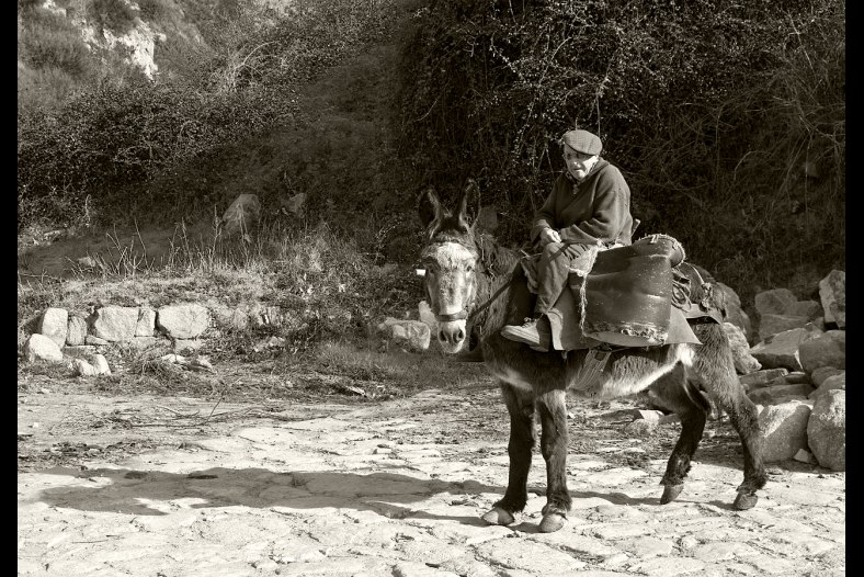 A rider