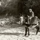 A rider