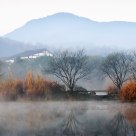 Mist
