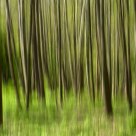 Transition