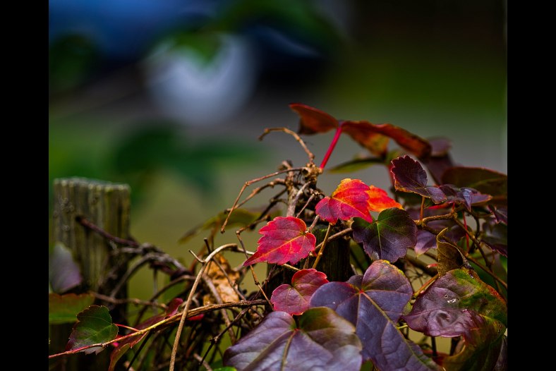 Change Of Season
