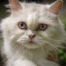 Ok mister, you took your picture, now can I please touch the ground again?