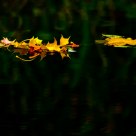 Floating