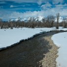 Early Spring