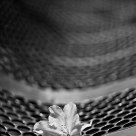 Flower's bench