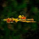 Ripples