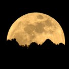 Super Moon Rising