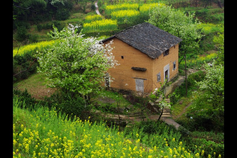 Village House