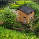 Village House