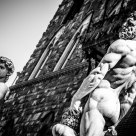 David & Ercole
