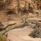 Spring Brook