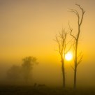 Misty Moogerah I