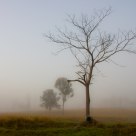 Misty Moogerah II
