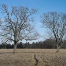 Valley Forge