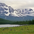 Honker Bend