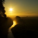 Foggy Morning