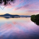 Pink Reflections 