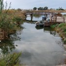 Lago