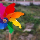 Colori 