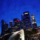 Singapore Lion