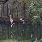 The Rope Swings