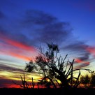 After Sundown