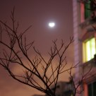 MoonLight