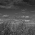 the dune